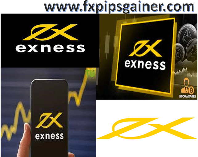 Comprehensive Guide to Exness Forex Accounts 14 Comprehensive Guide to Exness Forex Accounts 14
